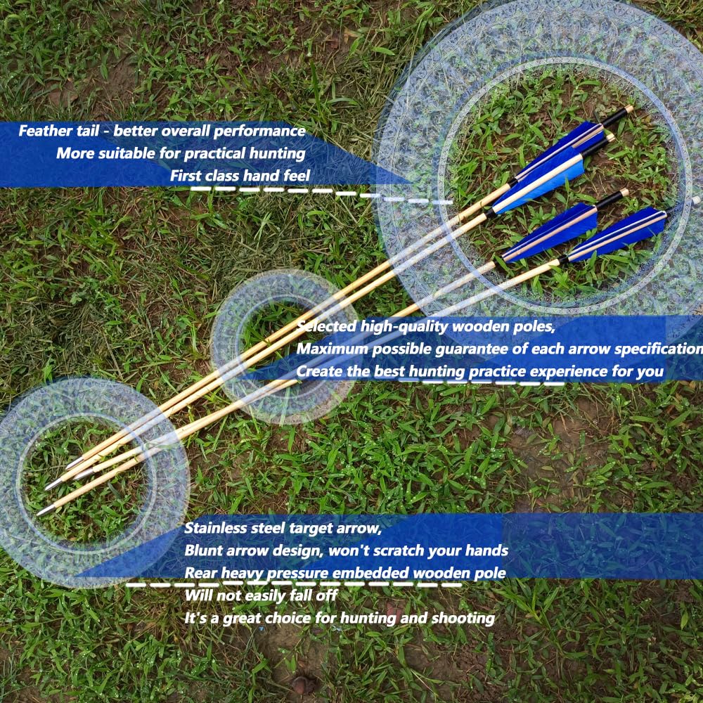 e5e10 target shooting scene with arrows in use