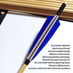 e5e10 turkey feather detail demonstrates streamlined fletching for stability
