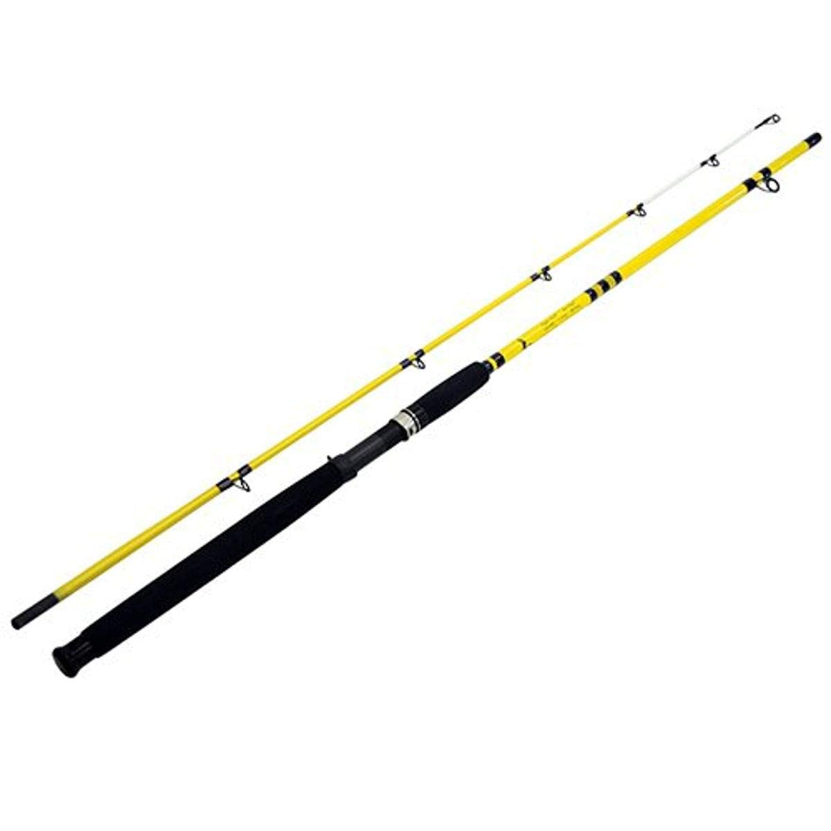 Eagle Claw CatClaw casting rod 8ft versatile for freshwater and light saltwater casting.