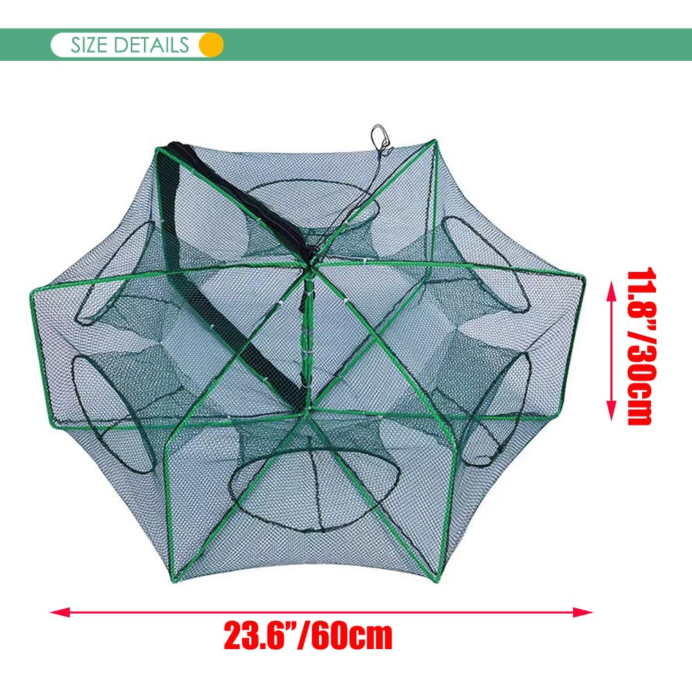 Folded and portable bait trap for travel