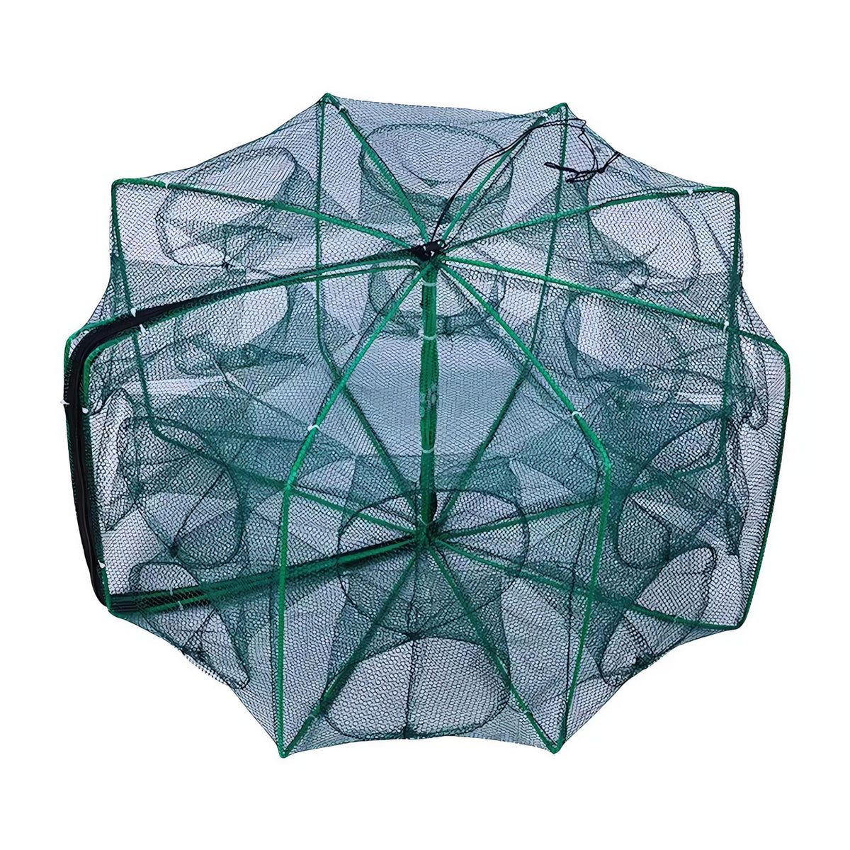 Foldable bait trap net in folded, portable form