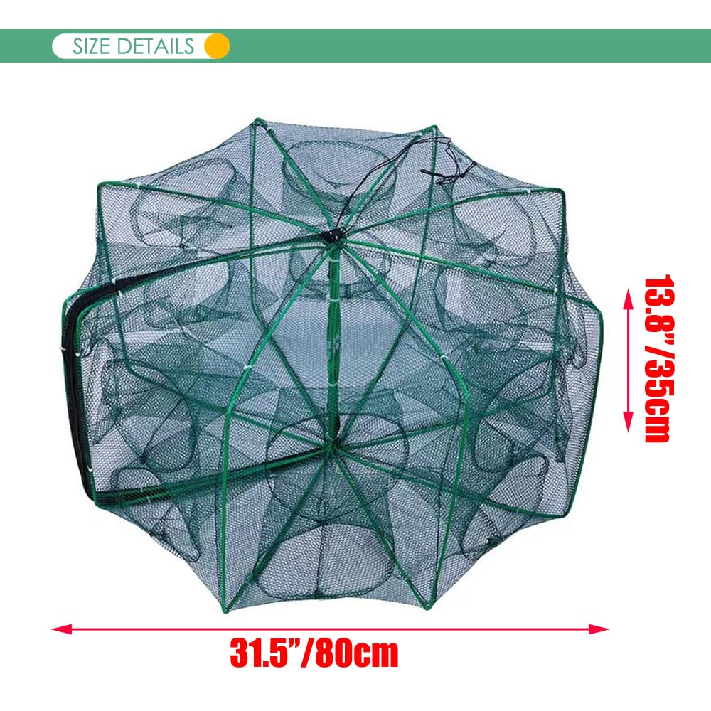 Open foldable bait trap net showing 360-degree design
