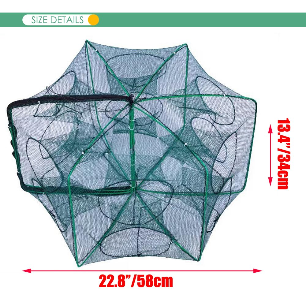EASY BIG Foldable Bait Trap open with 360° design catching prey