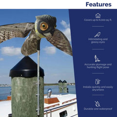 Outdoor installation of Prowler Owl decoy