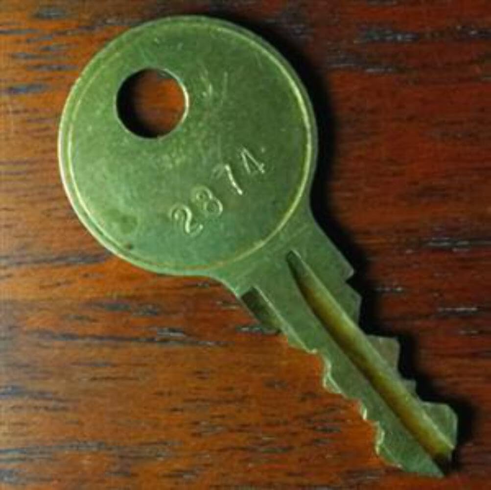 EasyKeys Thule 2872 key on ring ready for carry