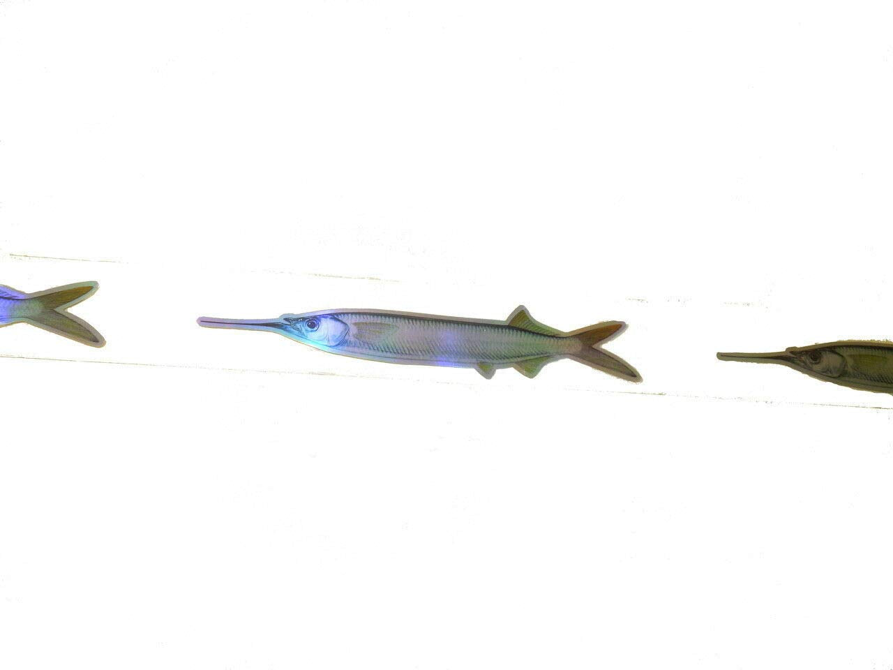 EAT MY TACKLE Ballyhoo Teaser Strips with nylon grommets for saltwater durability.