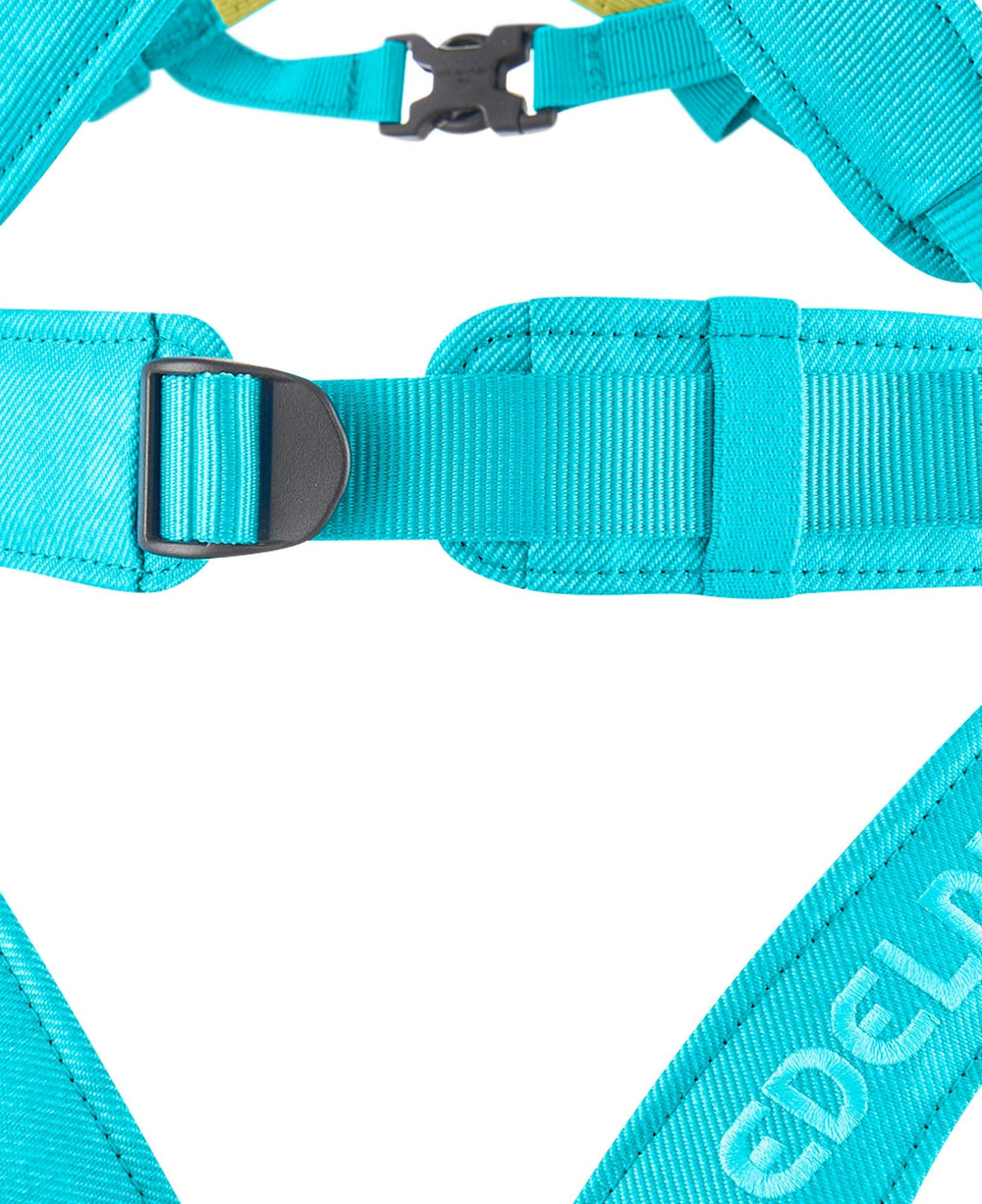 Compact, pack-ready Fraggle harness for easy travel and training.