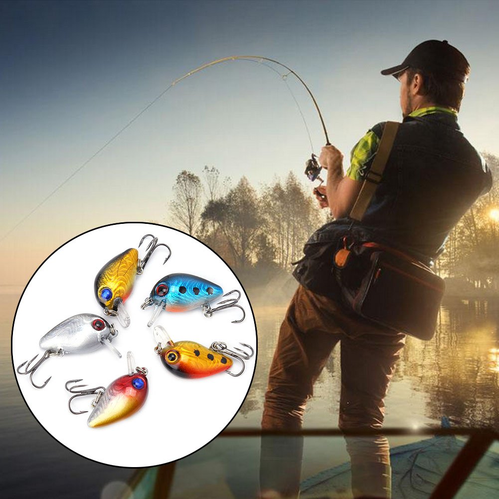 EIMSOAH bass-trout-walleye-lure suited for multi-species fishing.