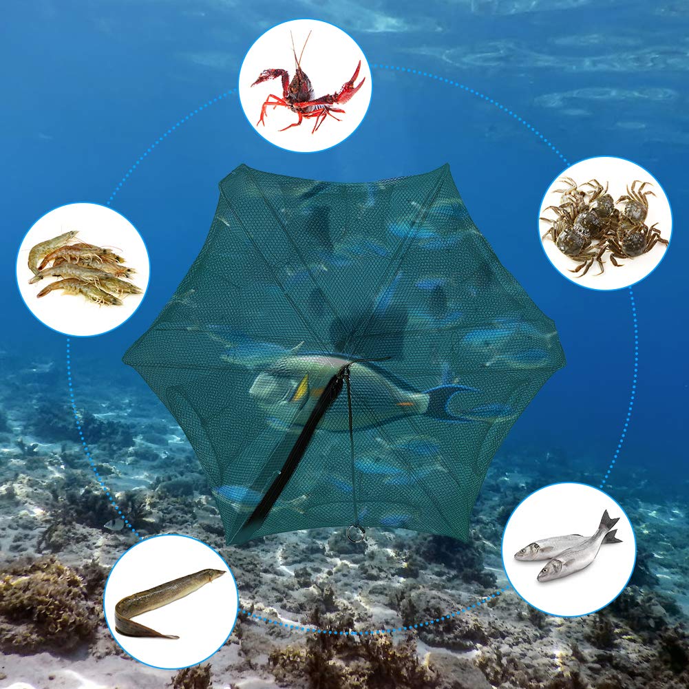 Foldable Ejoyous bait trap designed for easy transport and quick setup.