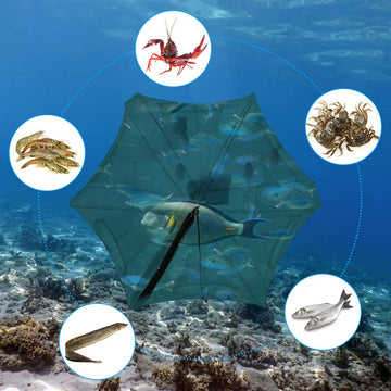Foldable Ejoyous bait trap designed for easy transport and quick setup.