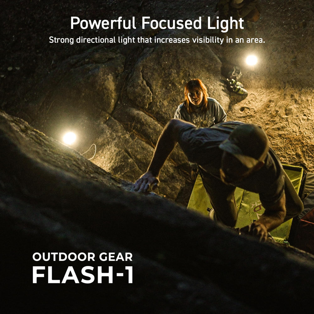 ELECOM NESTOUT dimmable light knob for precise brightness.