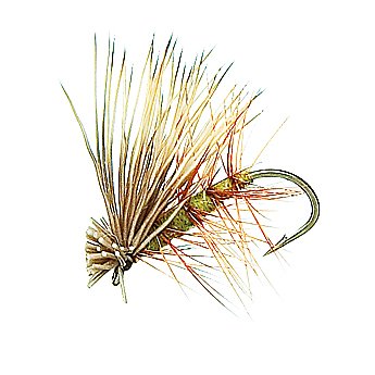 Elk Hair Caddis Olive dry flies for trout fishing — 1 dozen
