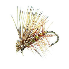 Elk Hair Caddis Olive dry flies for trout fishing — 1 dozen
