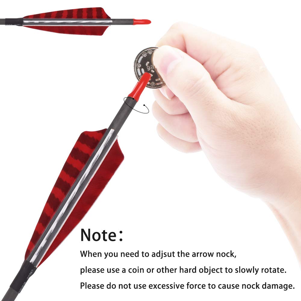 Elong Outdoor 100 grain screw tip shown for versatile field-point use.