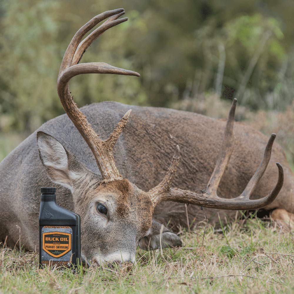 Elusive Wildlife Buck Oil 16oz bottle for storage and use