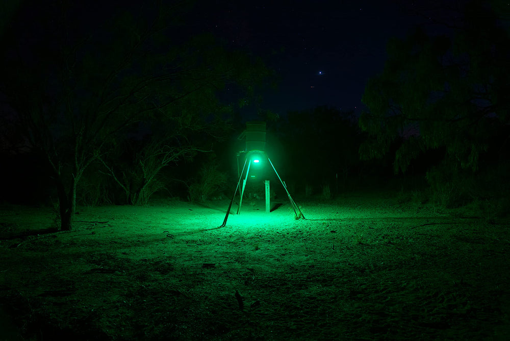 Elusive Wildlife Kill Light Amber mode for low-glow feeder lighting during hog hunts.
