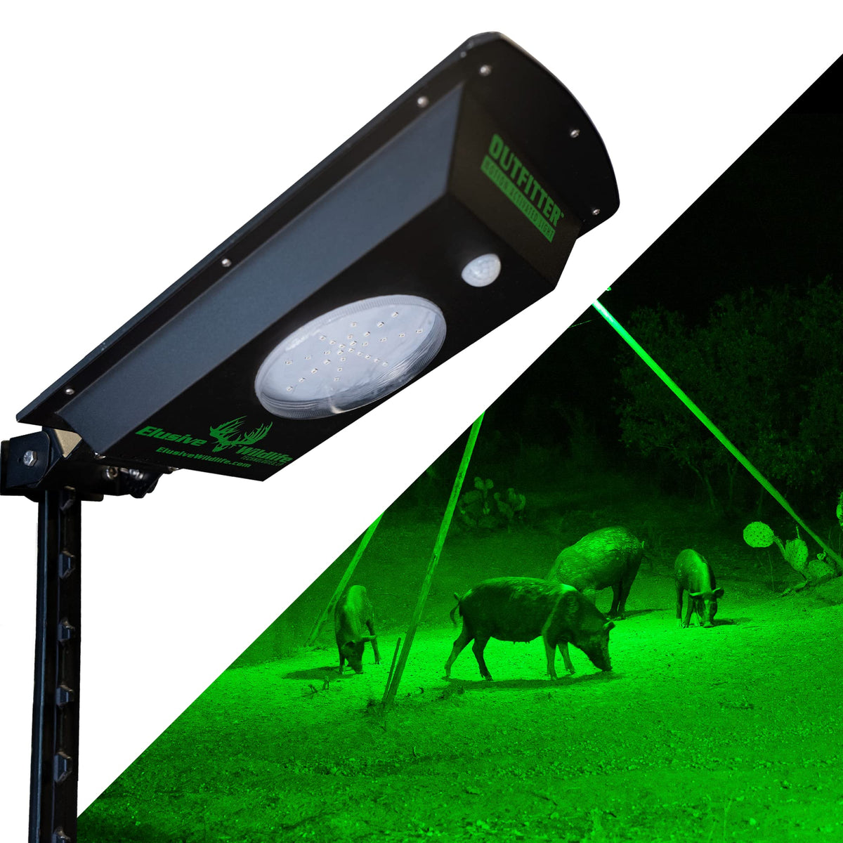 Elusive Wildlife Kill Light Outfitter motion sensor activates to illuminate the feeder area at dusk.