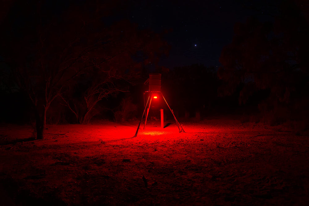 Elusive Wildlife Kill Light solar compatibility with Reaktor panel for maintenance-free use.