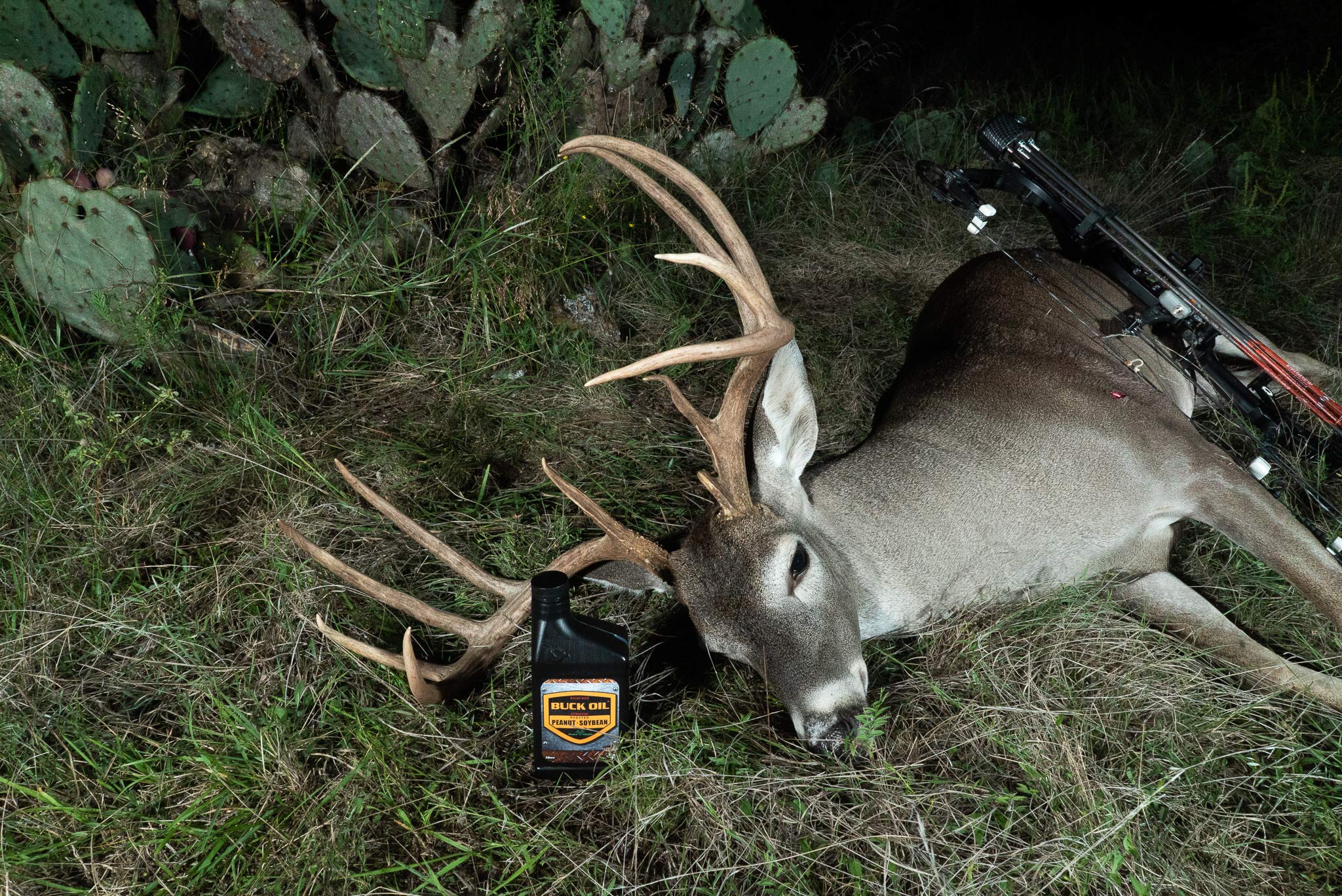 Elusive Wildlife Buck Oil oil based scent carrier visualizing aromatic brew