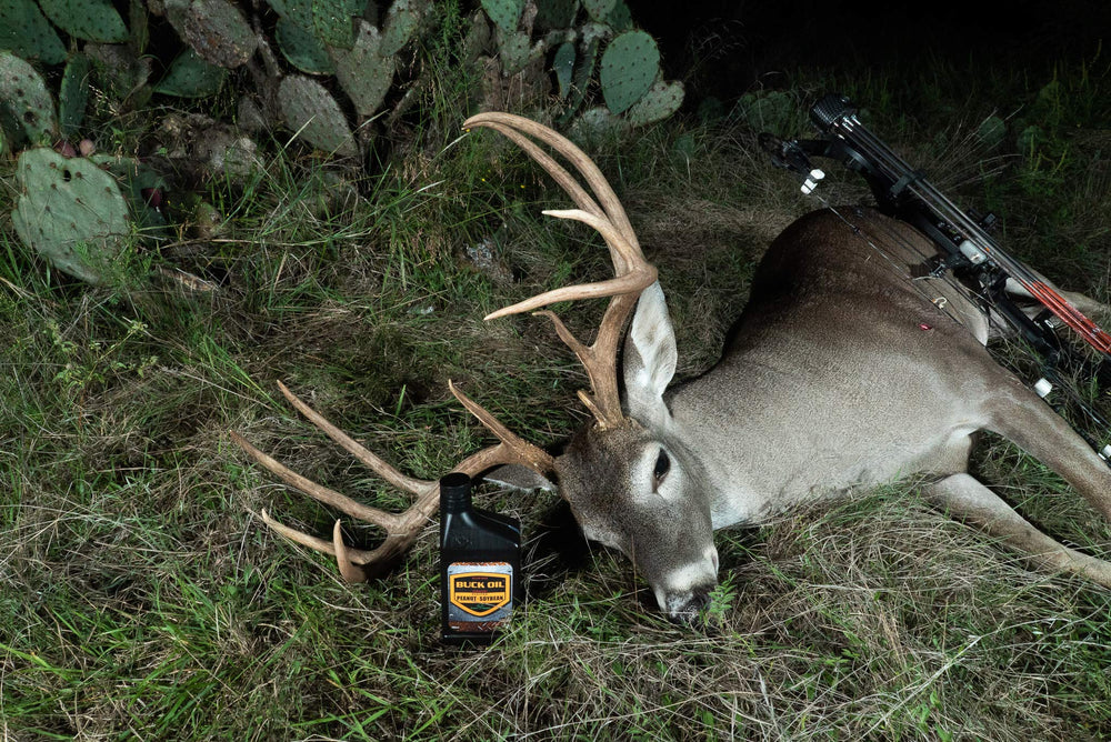 Elusive Wildlife Buck Oil oil based scent carrier visualizing aromatic brew