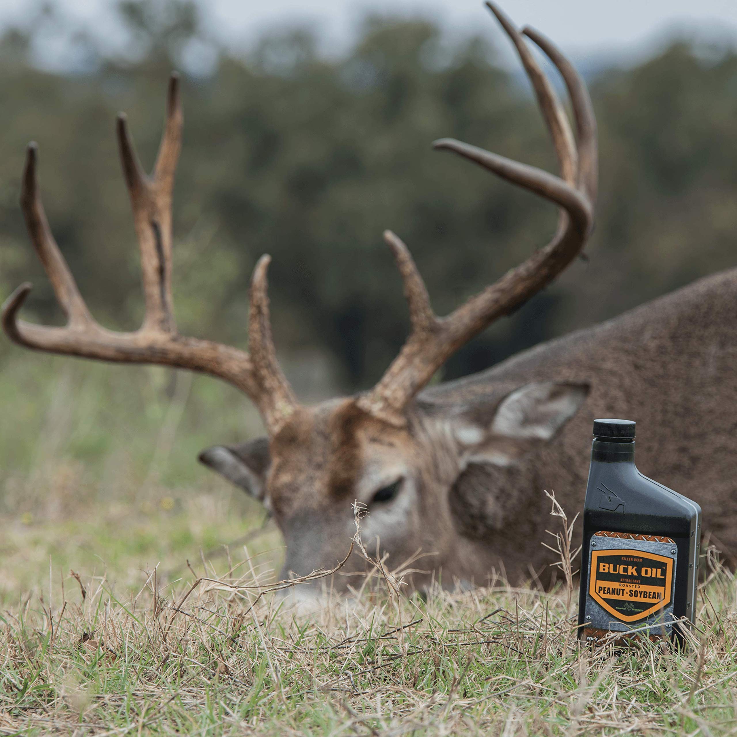 Elusive Wildlife Buck Oil in rut season attracting deer through scent