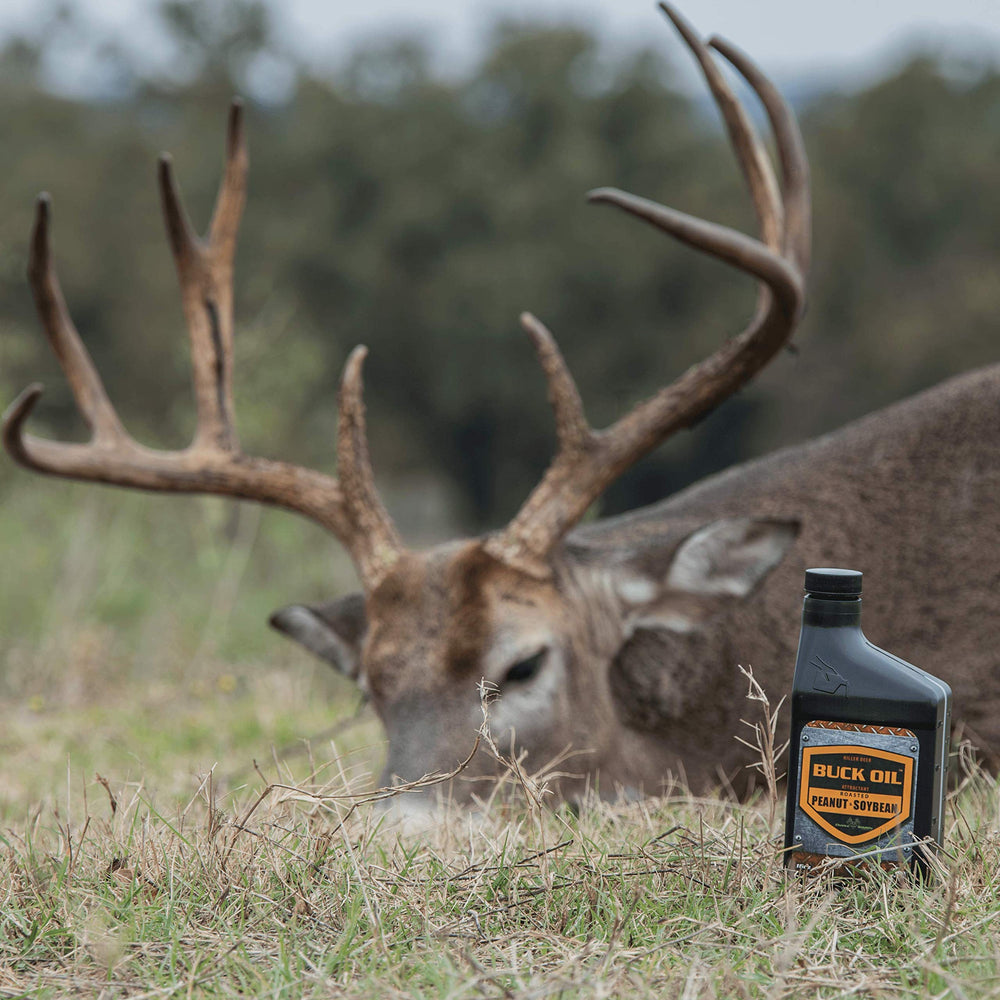 Elusive Wildlife Buck Oil in rut season attracting deer through scent