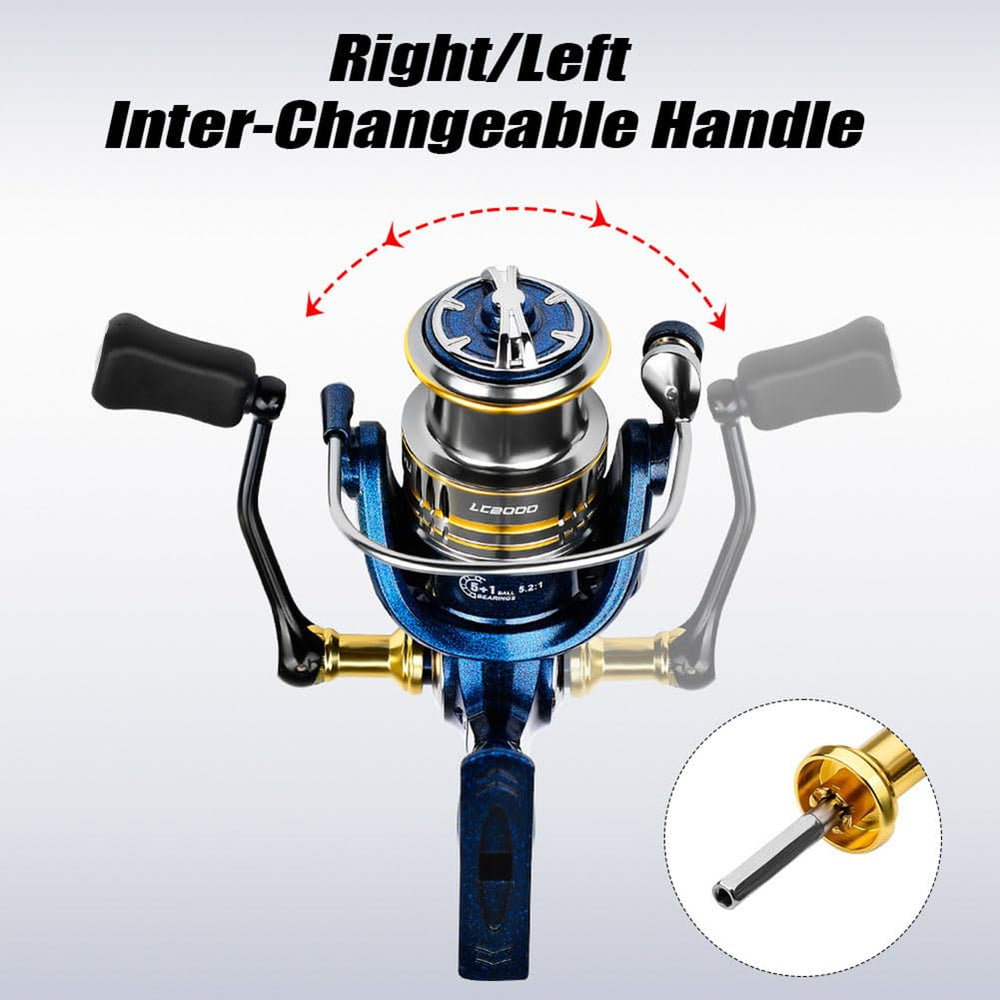 Elvaesther braid-ready spool simplifies setup for light tackle
