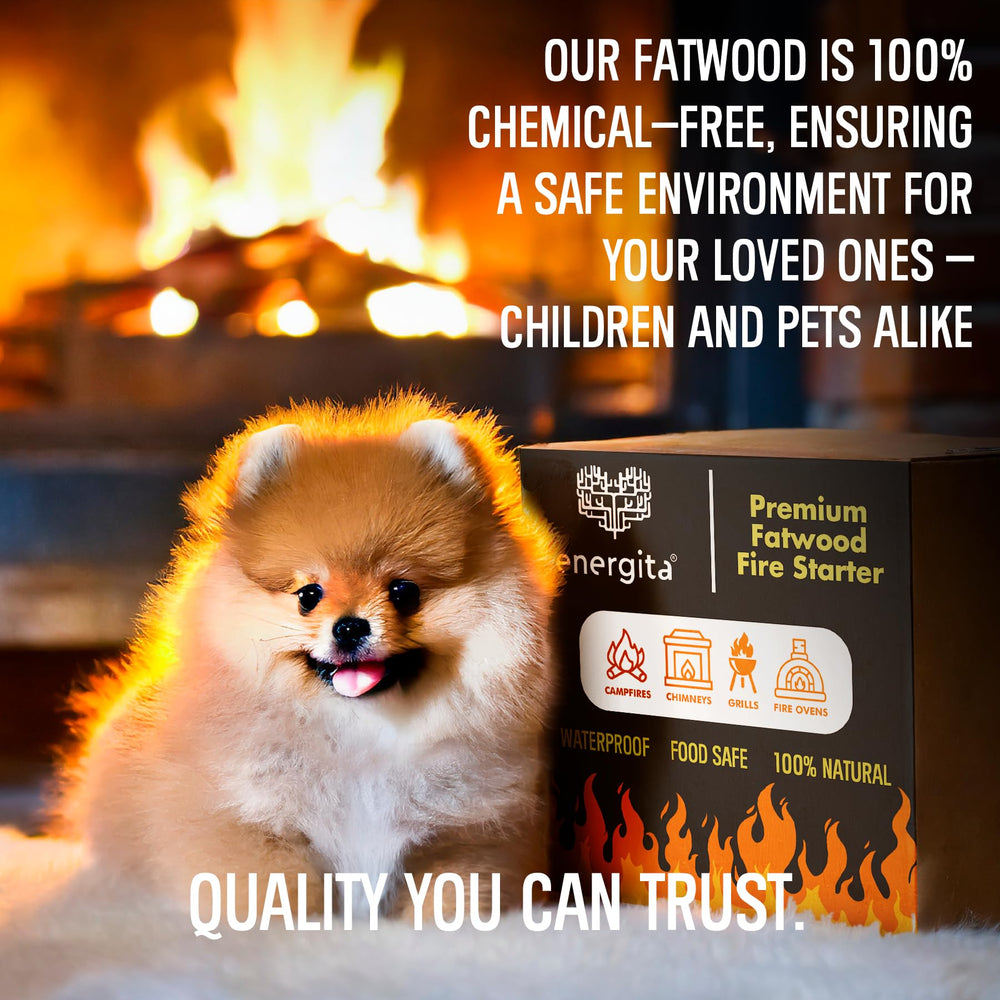 ENERGITA fatwood resin-rich wood closeup highlights natural resin content for dependable lights.