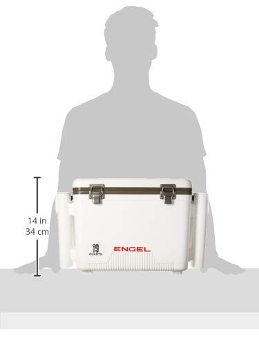 ENGEL UC19 rod holders ready for organized fishing gear during trips.