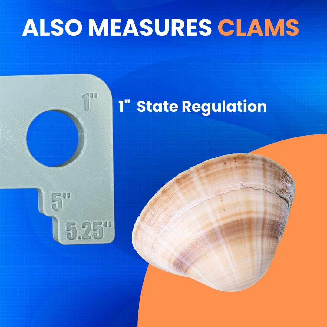 Ergonomic handle for quick crab measurements