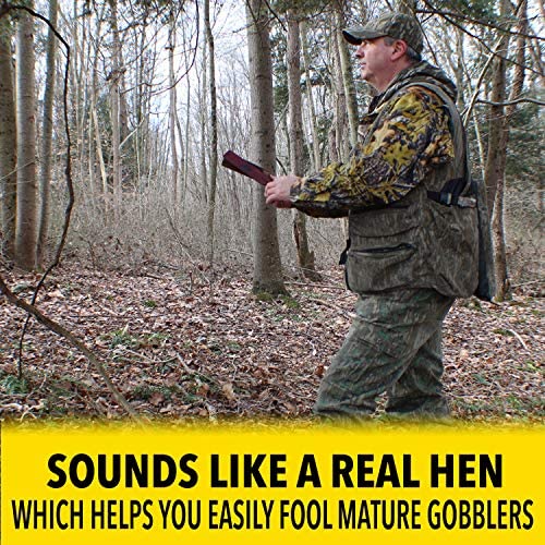 ESH Turkey Box Call realistic hen sounds demo for successful field calls and early-season planning.