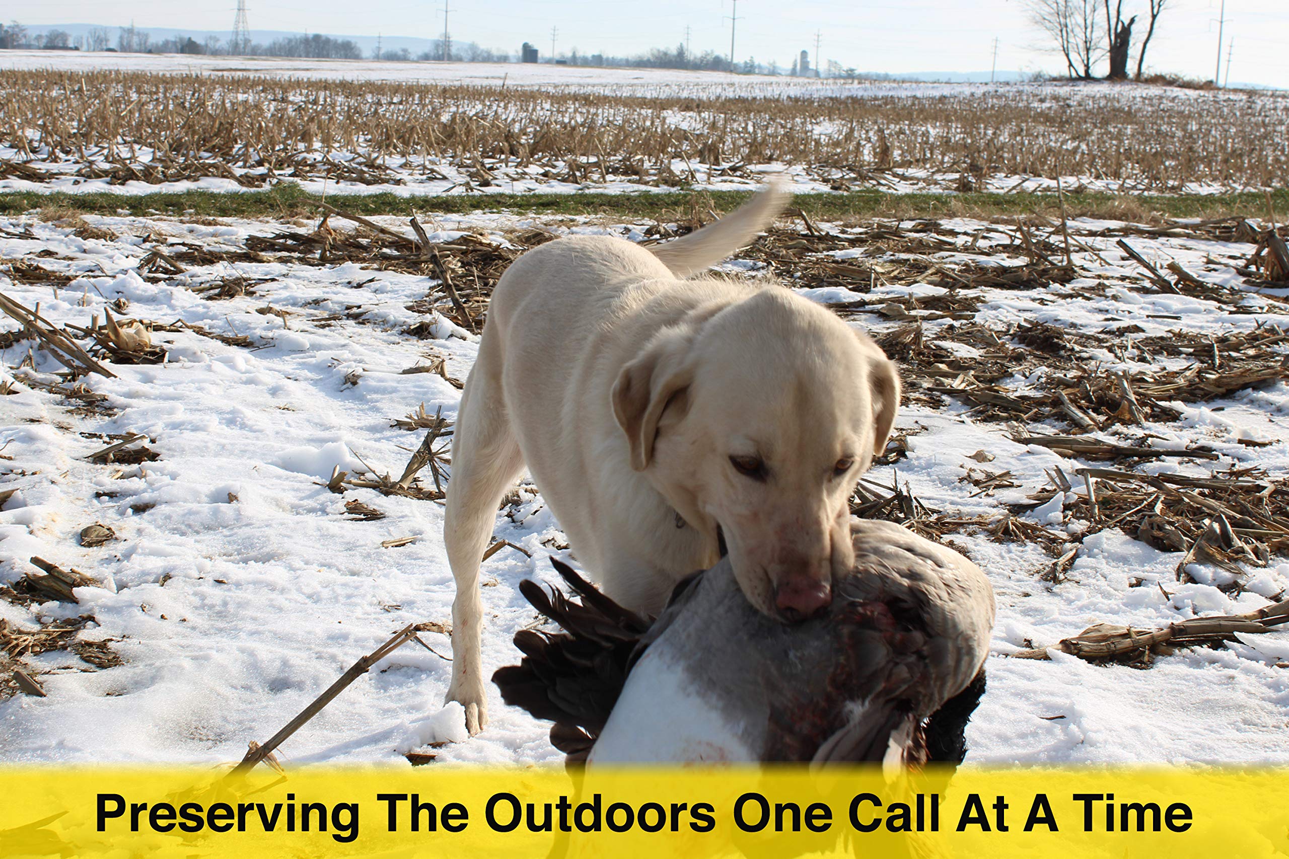 ESH The Freezer Goose Call easy-to-run design for beginners and pros