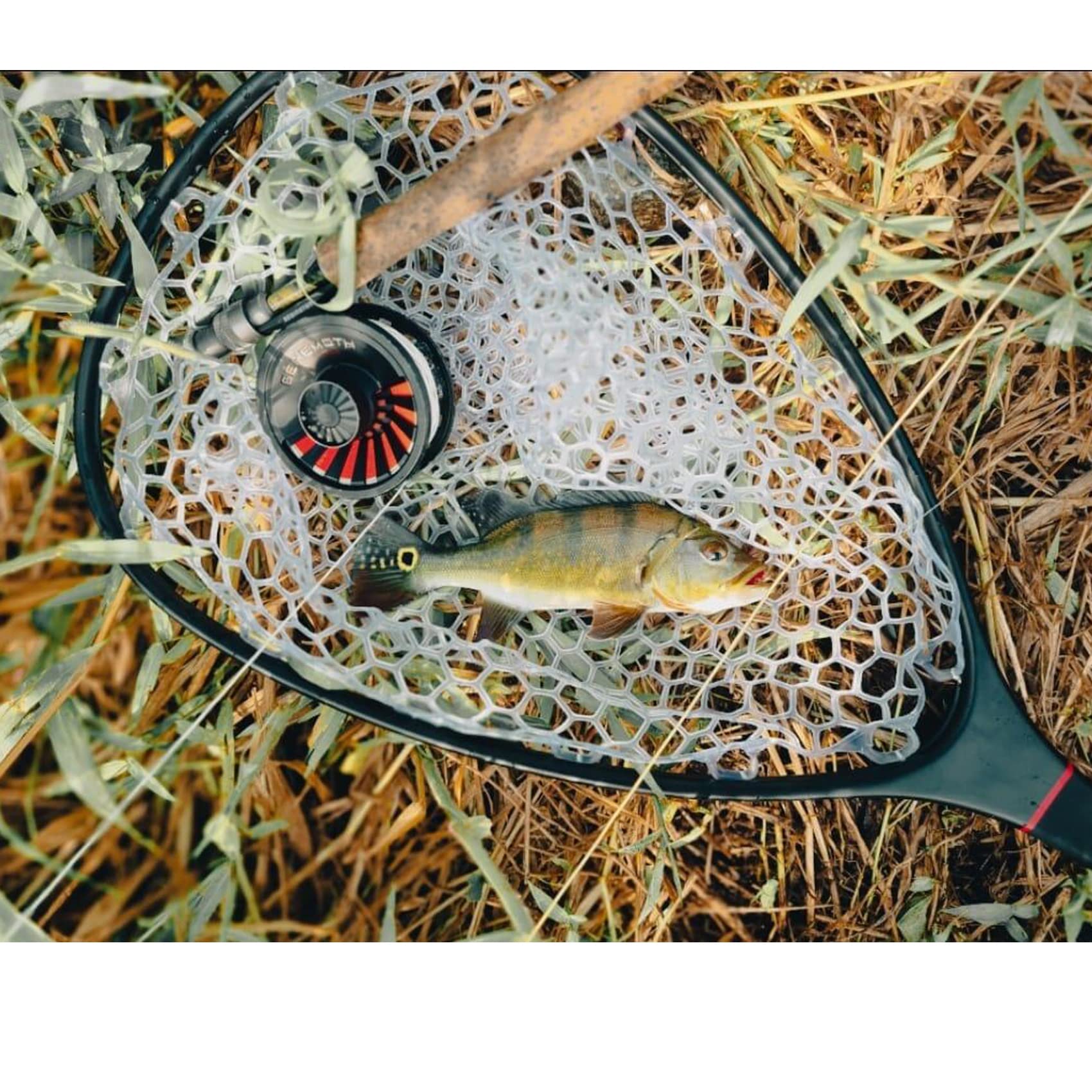 EUPHENG Aventik green soft rubber net supports safe releases.