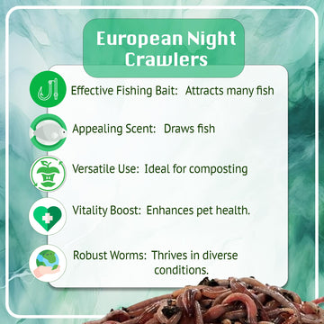 European Nightcrawlers enriching garden soil