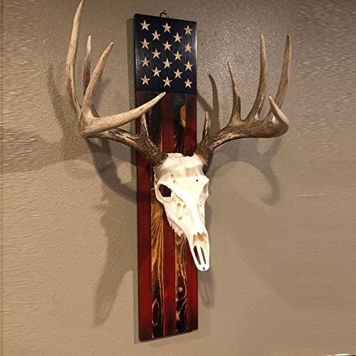 European Trophy Mount Plaque Skull Hanger on wall display for trophies