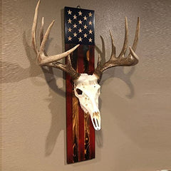 European Trophy Mount Plaque Skull Hanger on wall display for trophies