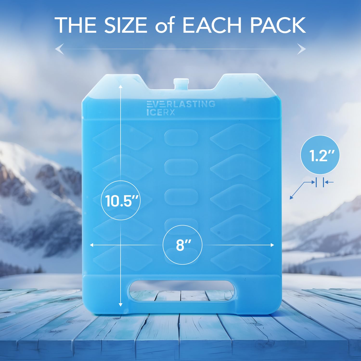 Everlasting Ice RX freezer packs keeping beach provisions cold during a day out