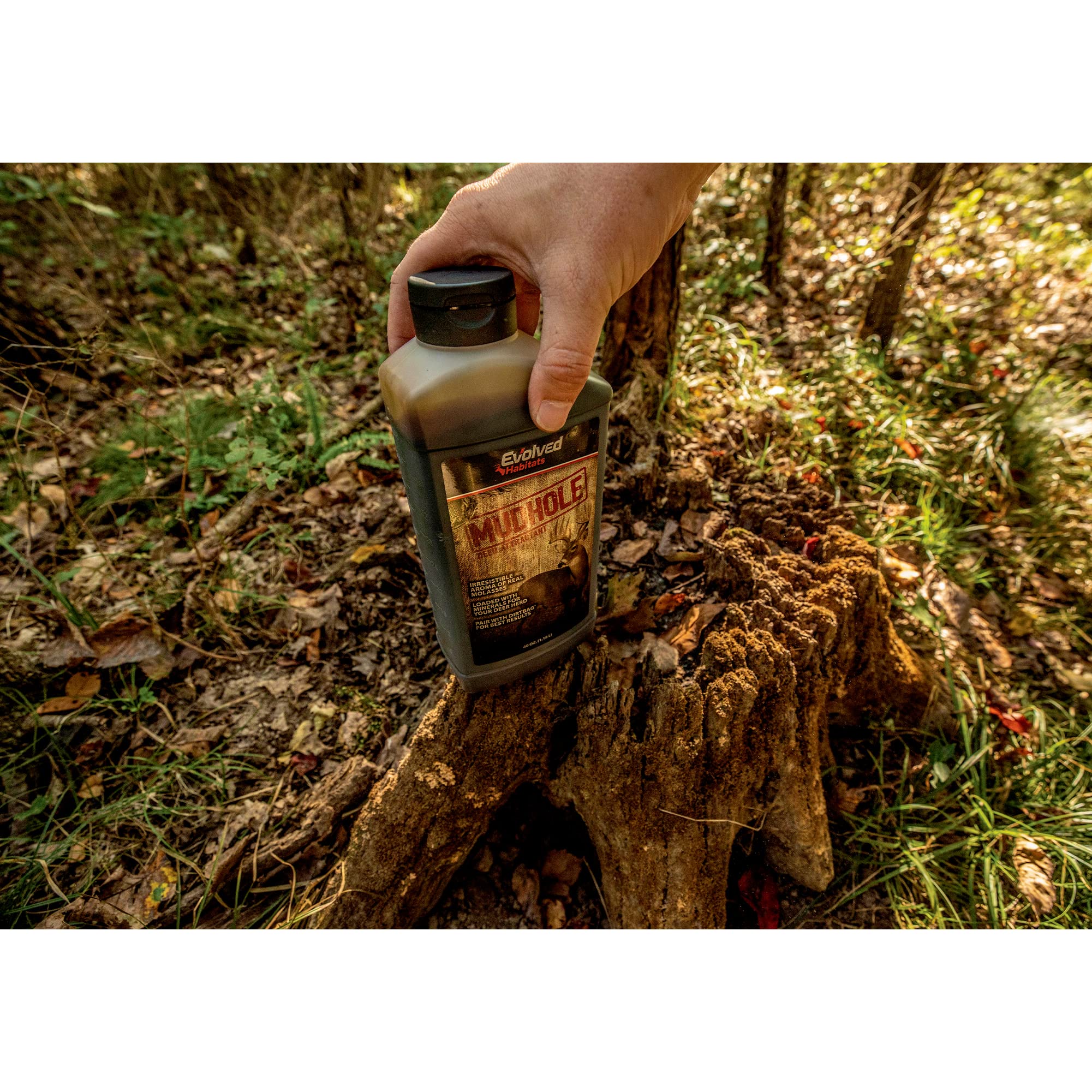 Evolved Habitats MudHole spread over rotting stump highlights best practice for maximum deer appeal.