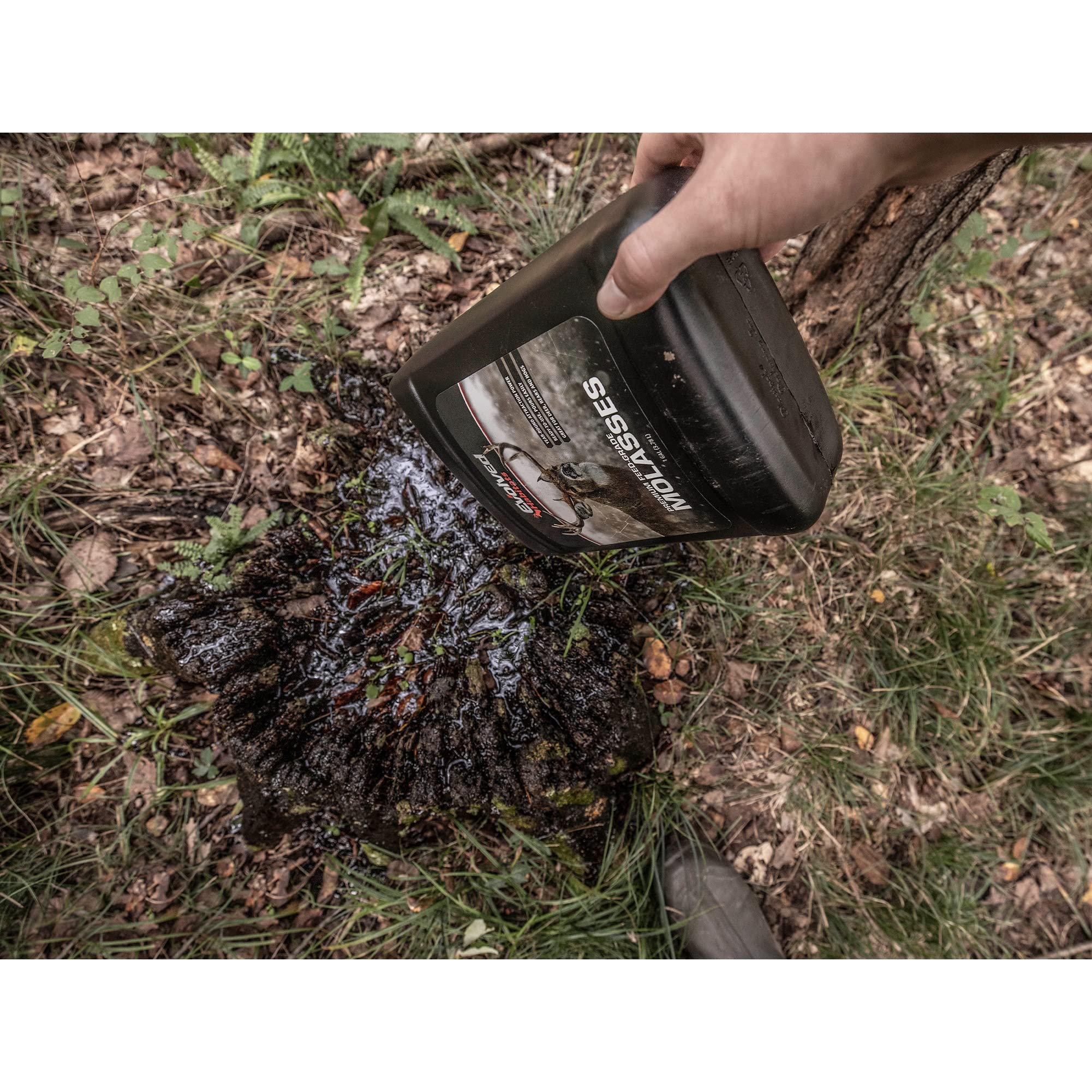 Evolved Habitats Premium Wildlife Molasses poured over decaying stumps invites foraging