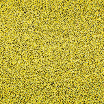 Evolved Harvest Chicory PRO Plot Mixer tub close-up emphasizes quality and storage-ready format.