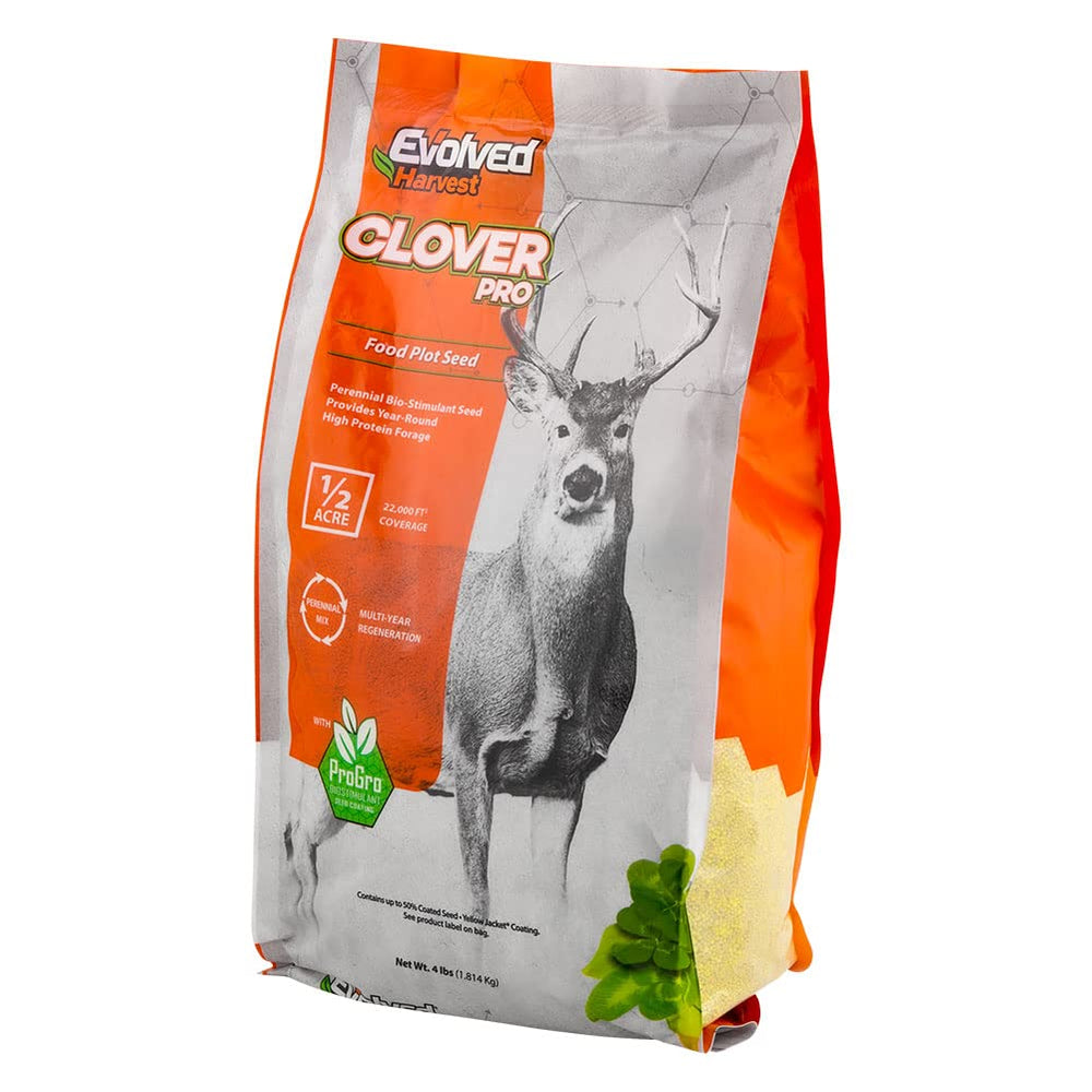 Evolved Harvest Clover Pro perennial clovers growing robustly in spring sunlight.