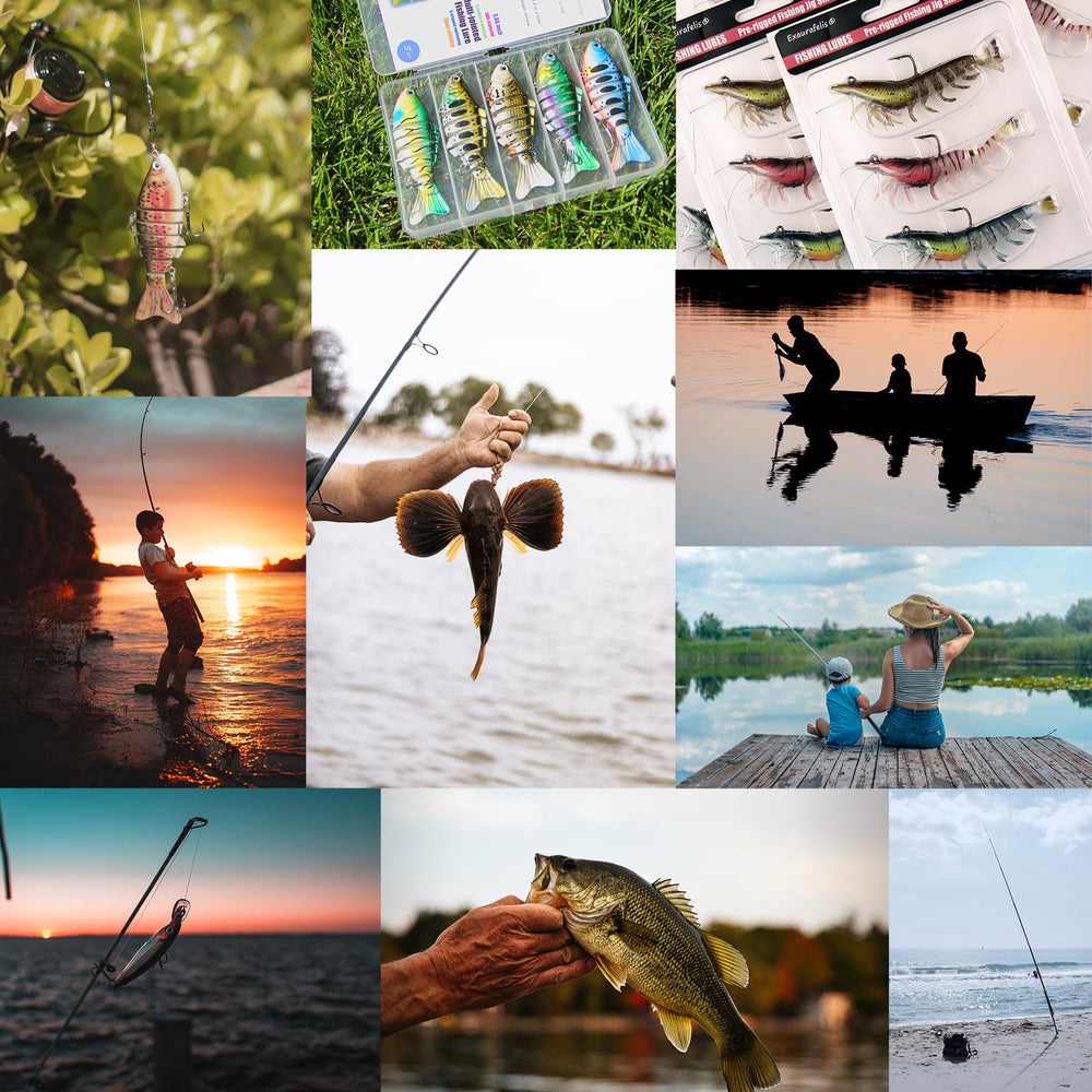 All seven swimbaits in kit with varied colors and actions