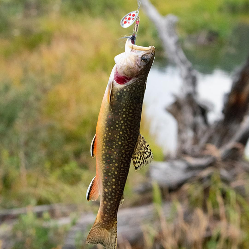 Lures arranged for freshwater and saltwater fishing