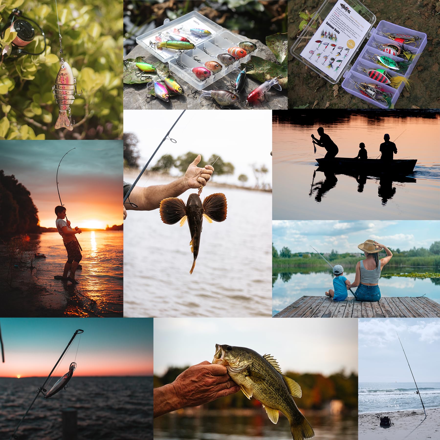 Seven color options for EXAURAFELIS Whopper Plopper lure