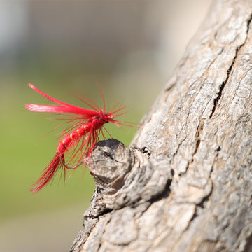 Popper flies and Wolly Bugger patterns