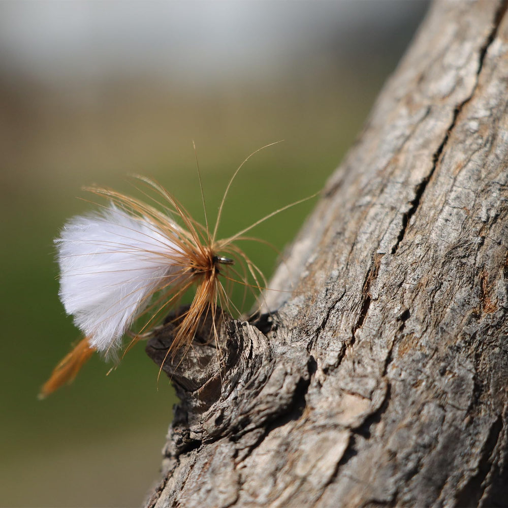 Dry fly patterns (mayflies, caddis) for surface fishing