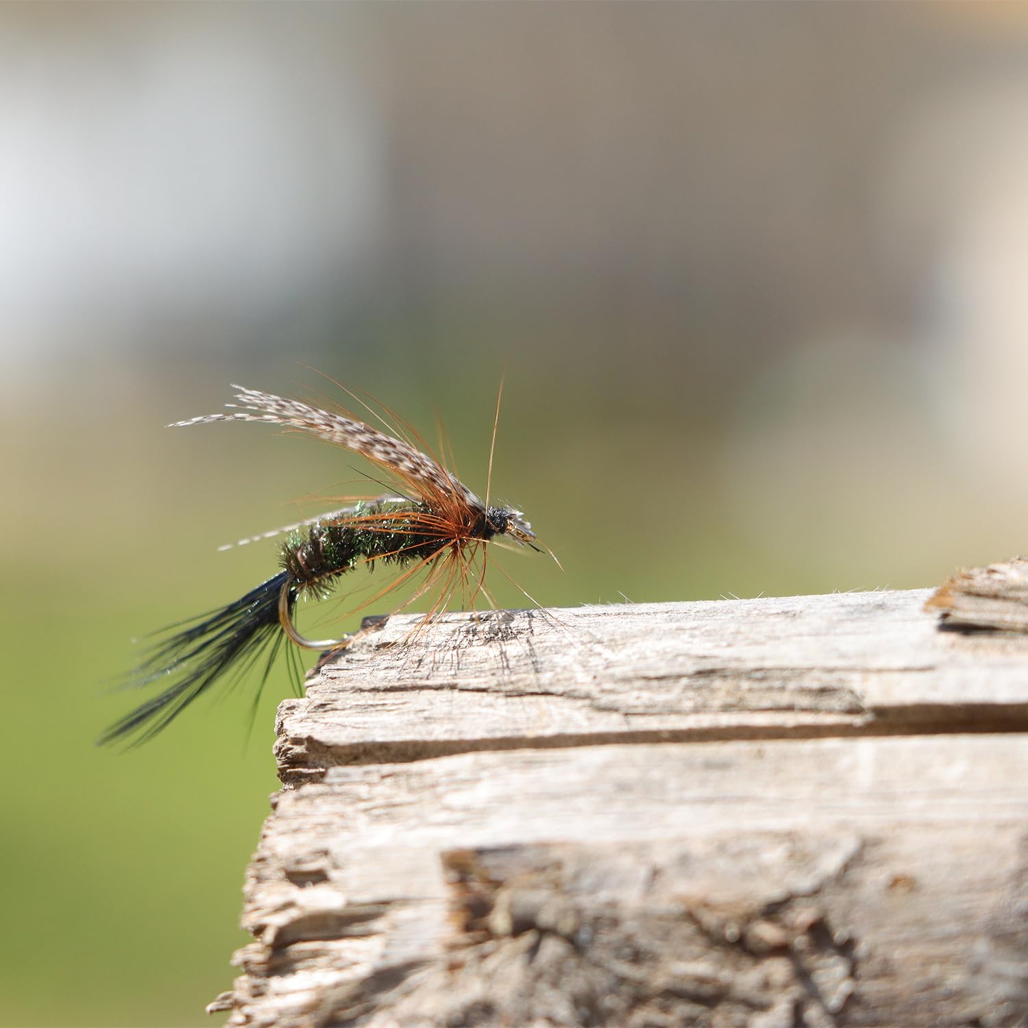 Nymphs, leeches, and terrestrial fly patterns close-up