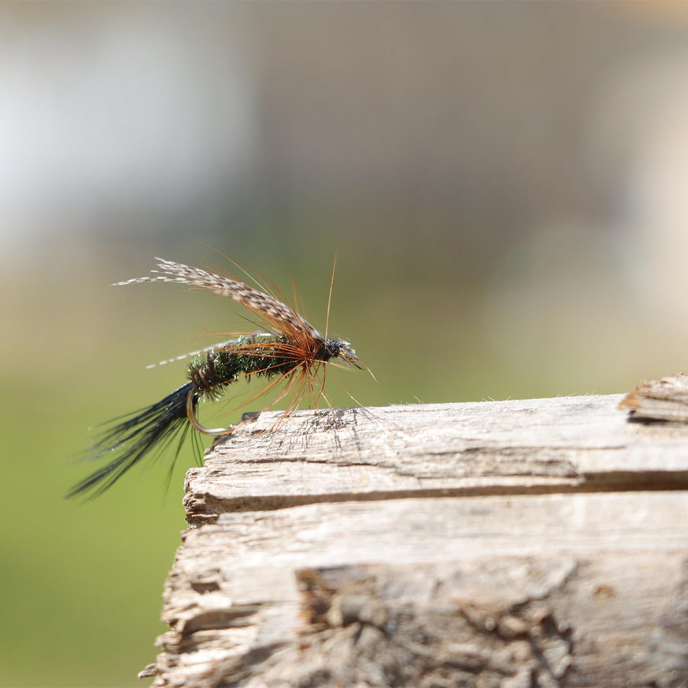 Nymphs, leeches, and terrestrial fly patterns close-up