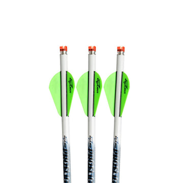 Excalibur ProFlight carbon arrows featuring 2-inch blazer vanes for a flatter trajectory.