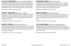 Express Yourself Crappie & White Bass Ident-I-Card back lists scientific names and freshwater records.